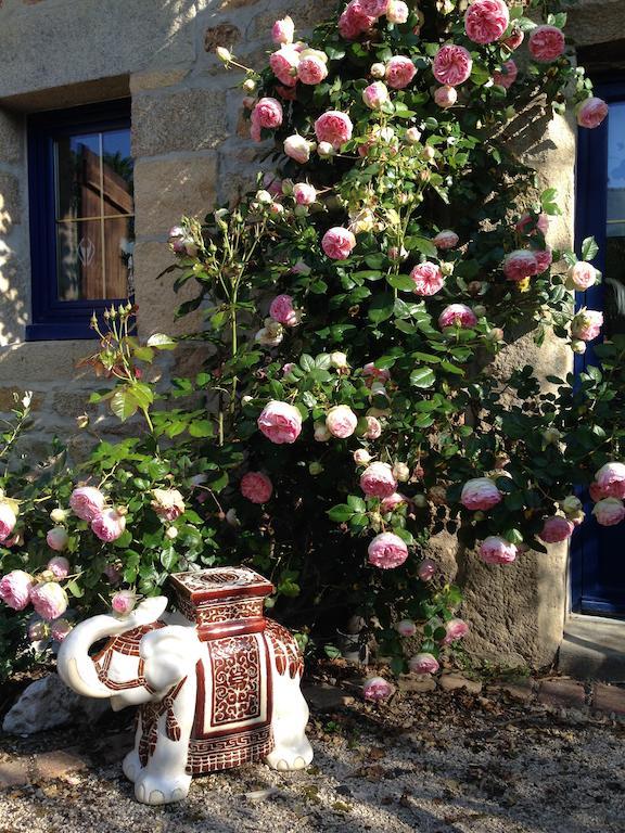 Bed and Breakfast Le Domaine De Saint-Thomin Nostang Esterno foto